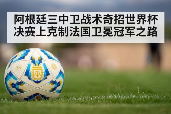 阿根廷三中卫战术奇招世界杯决赛上克制法国卫冕冠军之路