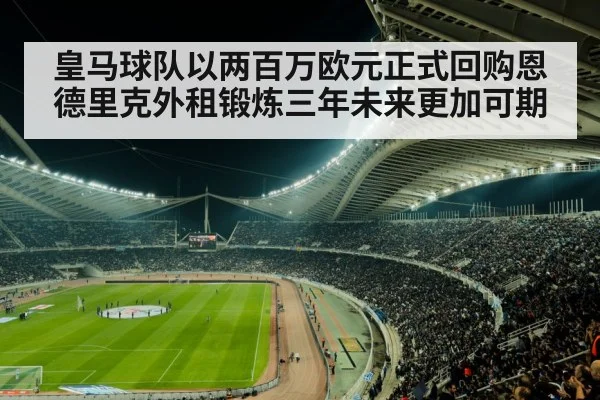 soccer stadium crowd