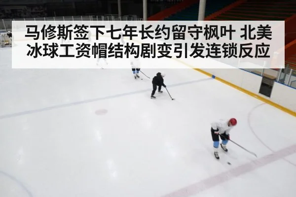 ice hockey rink
